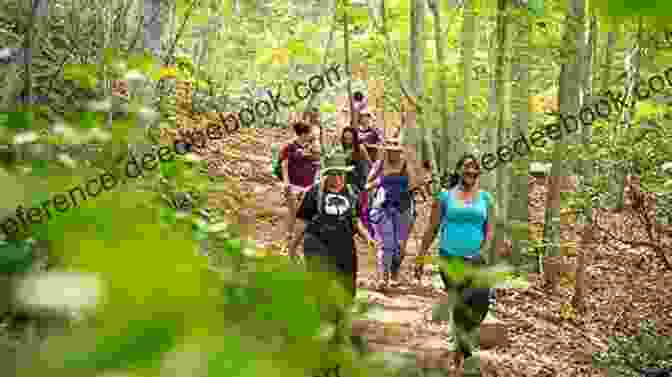 A Black Woman Hiking Through A Forest. Iceland: Nature Nurture Adventure (Diary Of A Traveling Black Woman: A Guide To International Travel)