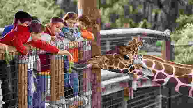 A Group Of People Looking At Animals In A Zoo. FOOTPRINTS Visual Catalogue: A Fun Way To Learn More About ANIMALS (Great Ideas Collection 2)