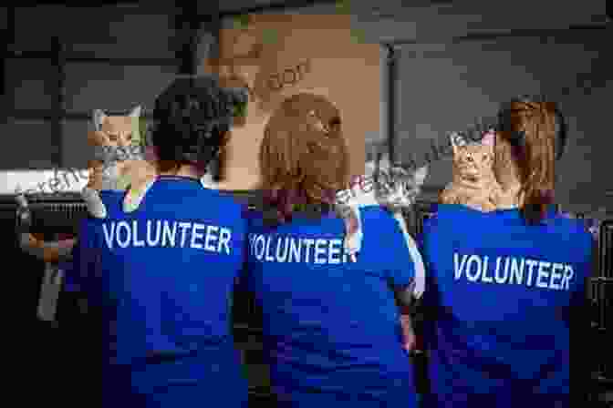 A Group Of People Volunteering At An Animal Shelter. FOOTPRINTS Visual Catalogue: A Fun Way To Learn More About ANIMALS (Great Ideas Collection 2)