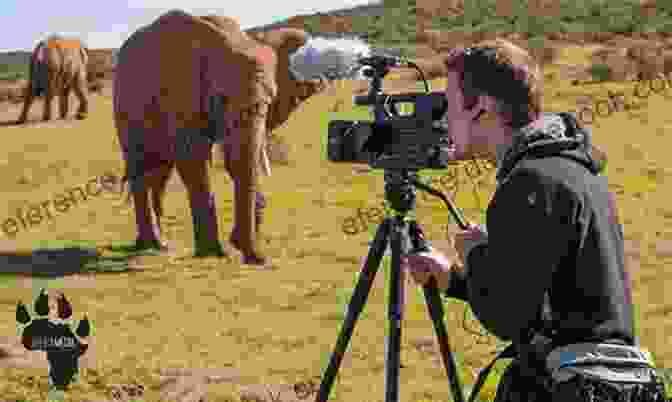 A Group Of People Watching A Documentary About Animals. FOOTPRINTS Visual Catalogue: A Fun Way To Learn More About ANIMALS (Great Ideas Collection 2)