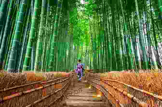 A Path Winding Through A Dense Bamboo Forest In Arashiyama 55 Photographs Of Kyoto Jerome Sitko