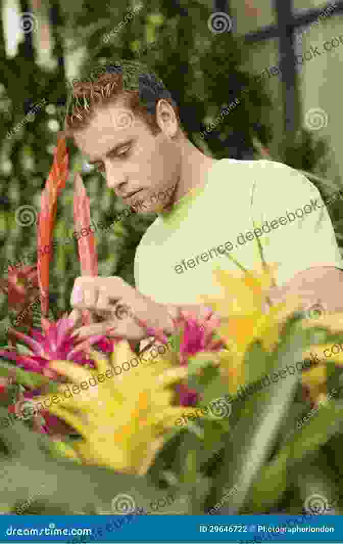 A Person Observing A Plant, Listening To Its Language. Everything Grows With Love: Beautiful Words Inspiring Thoughts (Flow)