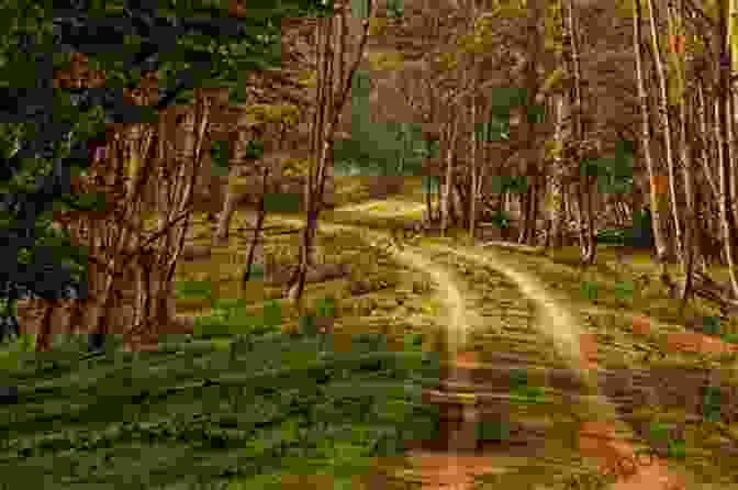 A Scenic Road Winding Through A Lush Green Forest And The Road Goes On : Volume One