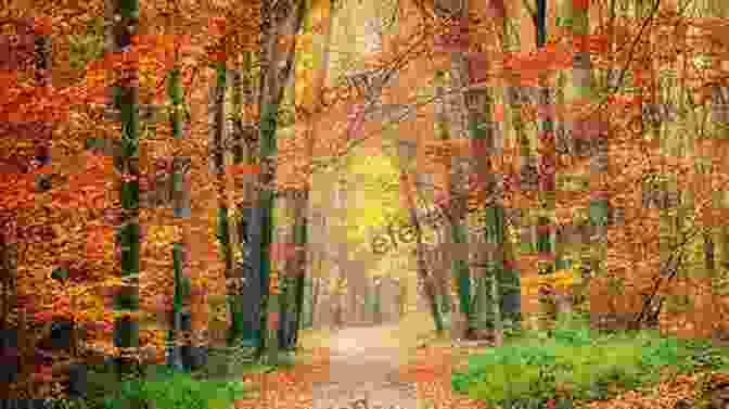 A Winding Path Leading Through A Forest, Trees Adorned With Vibrant Autumn Foliage, Representing The Passage Of Time And The Memories We Carry Within Us Sometimes I Fall Asleep Thinking About You