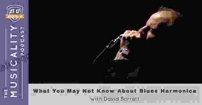 David Barrett, Renowned Blues Harmonica Player And Educator Blues Harmonica Accompaniment Playing David Barrett