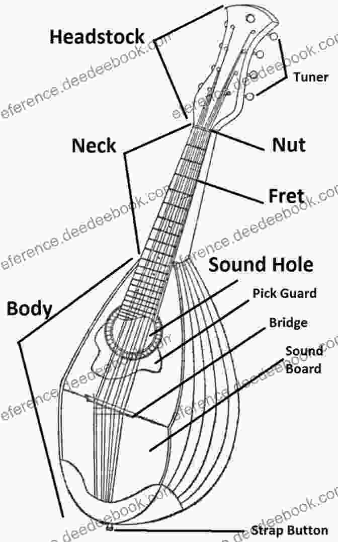 Diagram Of A Mandolin's Parts, Including The Headstock, Neck, Fretboard, Body, Bridge, Strings, And Tailpiece Mandolin Tunes Made Easy: Big Note/Large Print Edition