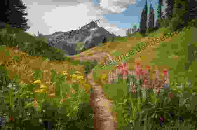 Hikers Traversing A Trail In The Rocky Mountains, Surrounded By Towering Peaks And Wildflowers The Spell Of The Rockies