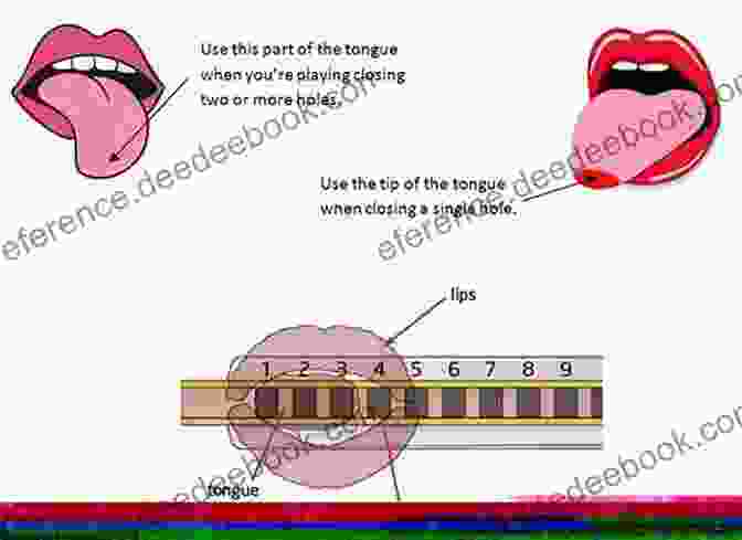 Image Of Tongue Blocking Technique On The Harmonica Building Harmonica Technique David Barrett