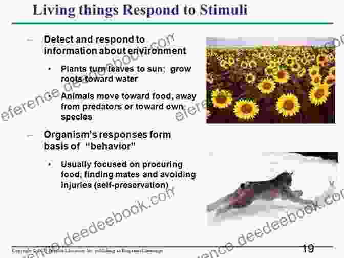 Irritability Enables Organisms To Detect And Respond To Changes In Their Surroundings. Life Processes (Essential Life Science)