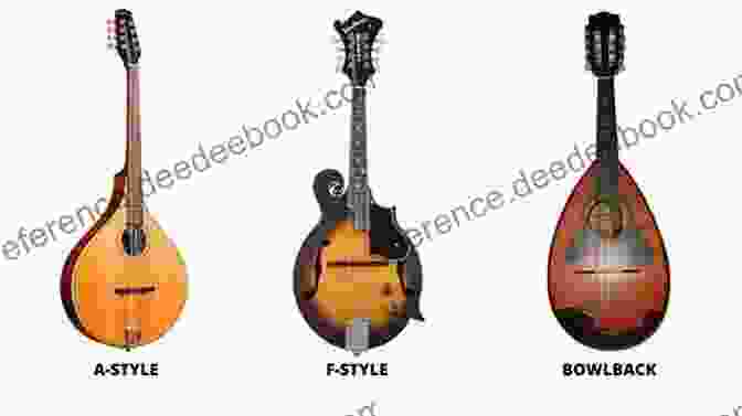 Mandolin Choices For Beginners, Featuring F Style And A Style Mandolins With Different Wood Types And Price Ranges Mandolin Tunes Made Easy: Big Note/Large Print Edition