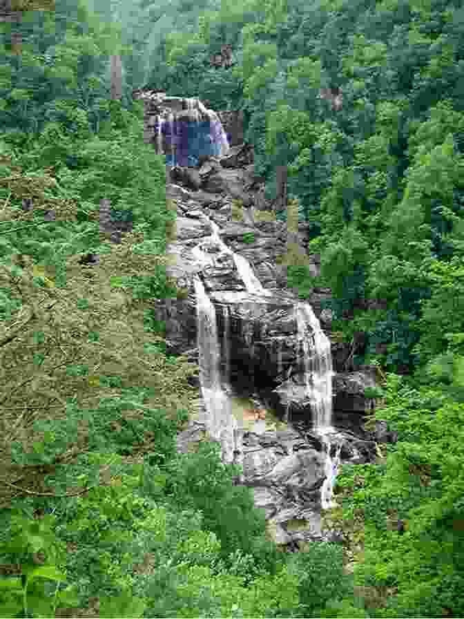 Nantahala National Forest The North Carolina Birding Trail: Mountain Trail Guide