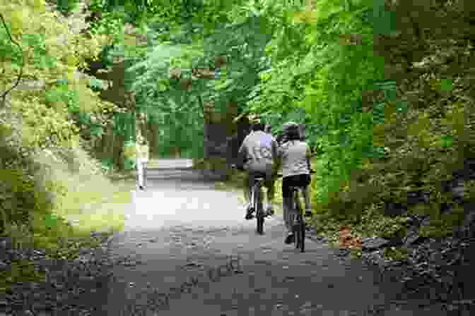 Scenic View Of Blackwater Creek Trail With Lush Greenery A Walking Tour Of Lynchburg Virginia (Look Up America Series)