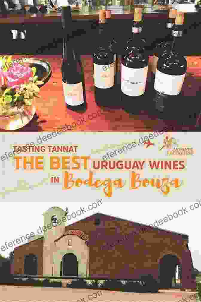 Uruguay Winery Uruguay The Best Travel Tips