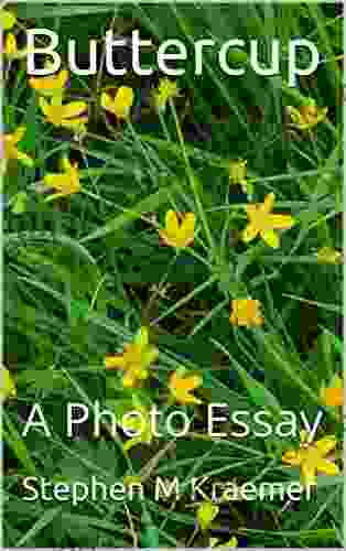 Buttercup: A Photo Essay Stephen M Kraemer