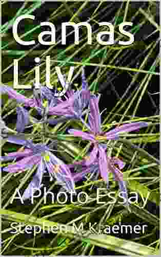 Camas Lily: A Photo Essay