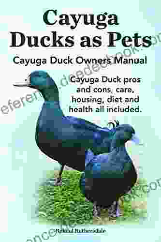 Cayuga Ducks as Pets Cayuga Duck Owners Manual Cayuga Duck care pros and cons housing health and diet all included