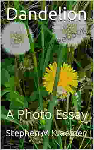 Dandelion: A Photo Essay Stephen M Kraemer