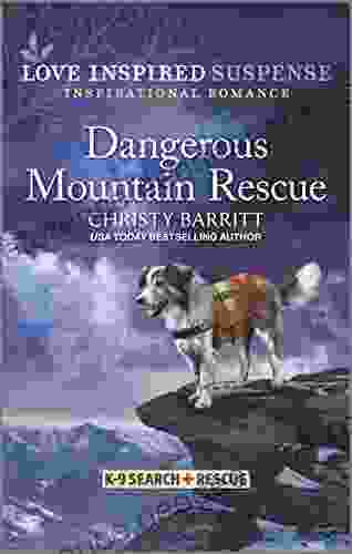 Dangerous Mountain Rescue (K 9 Search And Rescue 6)