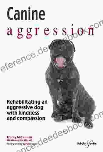 Canine aggression : Rehabilitating an aggressive dog with kindness and compassion