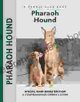 Pharaoh Hound (Comprehensive Owner s Guide)