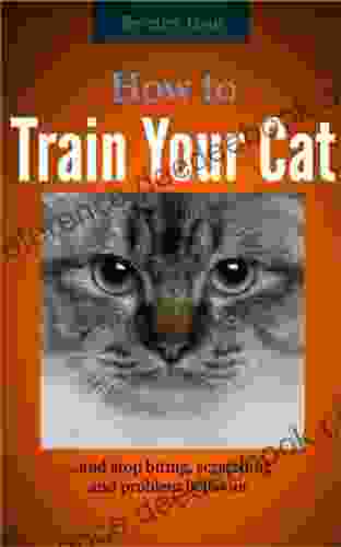 How To Train Your Cat And Stop Biting Scratching And Problem Behavior