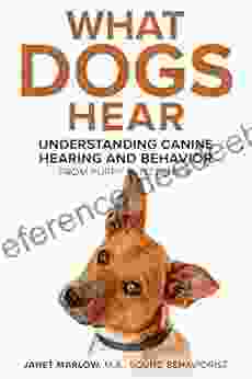 What Dogs Hear: Understanding Canine Hearing and Behavior From Puppy to Senior