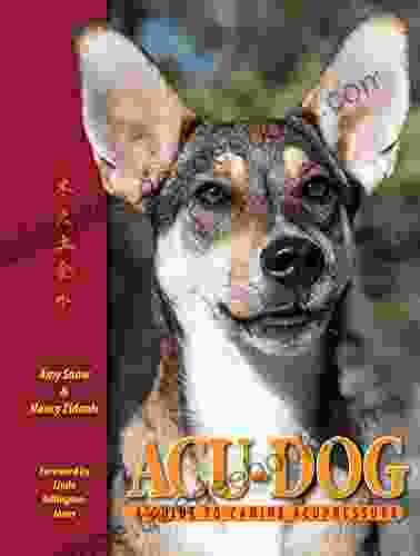 Acu Dog: A Guide to Canine Acupressure