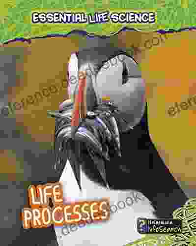 Life Processes (Essential Life Science)